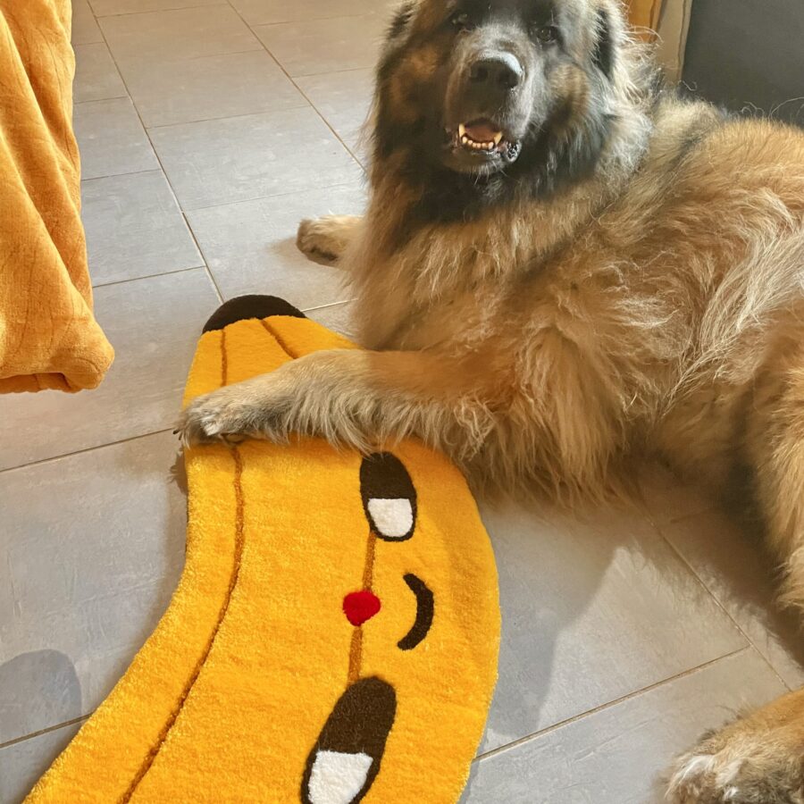 Gilbert the Banana Rug - Fruity Collection #01 (Limited Preorder) – Image 3