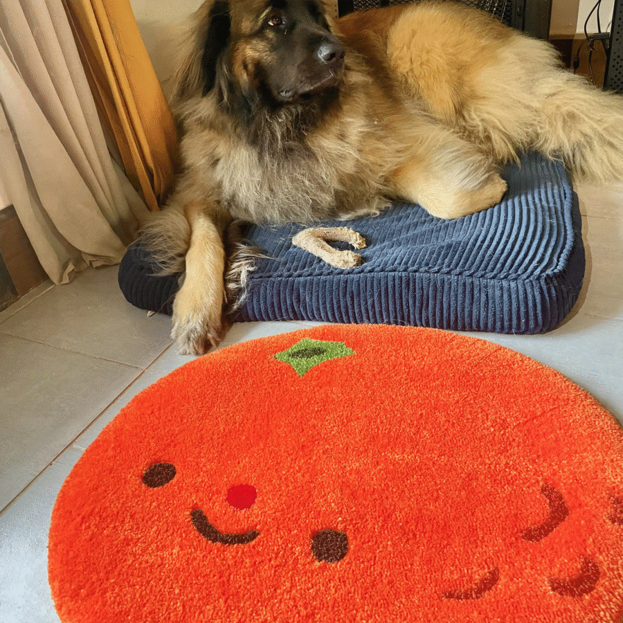 Benjamin the Mandarin Rug - Fruity Collection #01 (Limited Preorder) – Image 3
